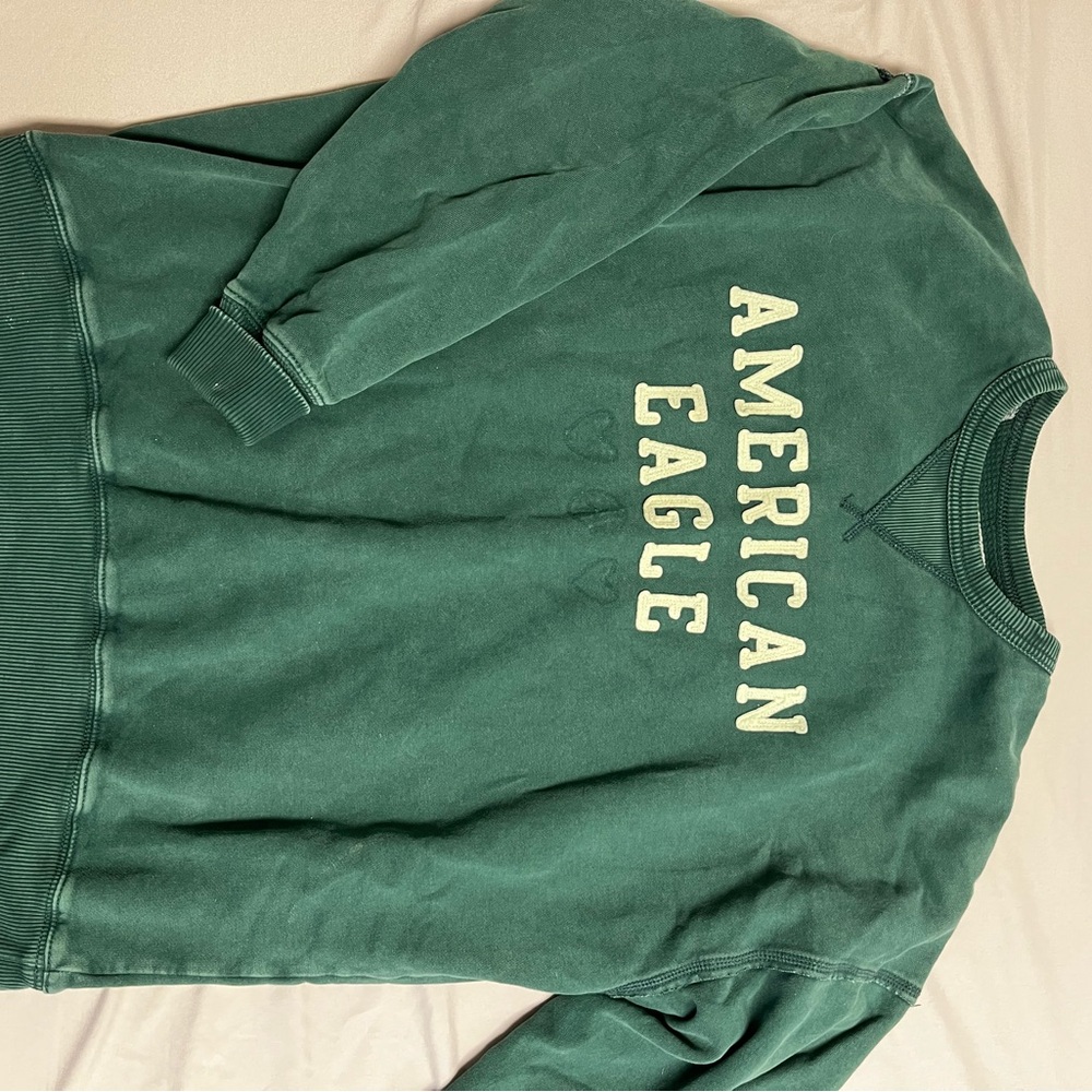 American Eagle Outfitters Forest Green Crewneck Sweater